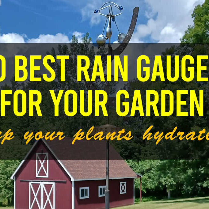 10 Best Rain Gauges for Your Garden: Keep your plants hydrated!
