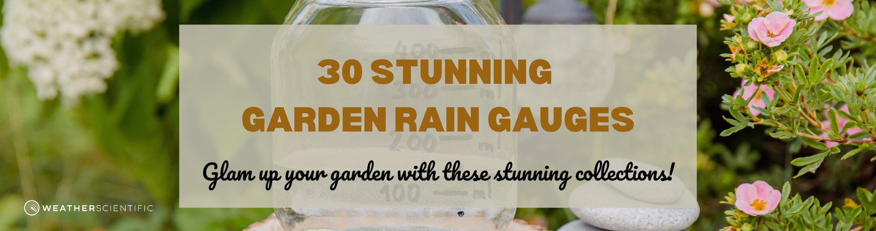 30 Stunning Garden Rain Gauges