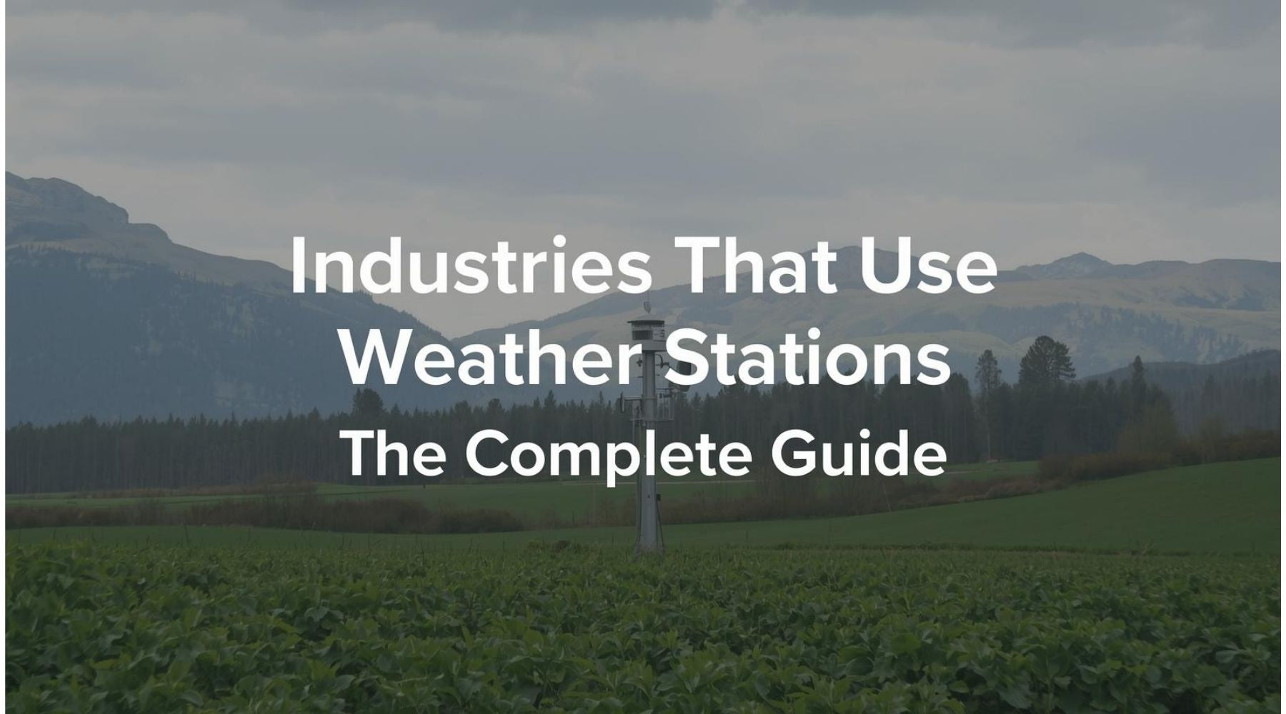 Industries That Use Weather Stations The Complete Guide by Weather Scientific