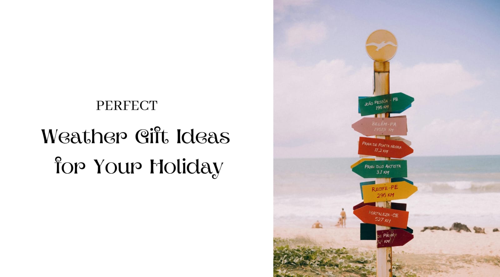 Perfect Weather Gift Ideas for Your Holiday by Weather Scientific