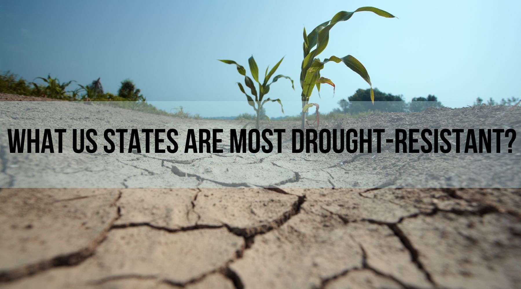What States Are Most Drought-Resistant? by Weather Scientific