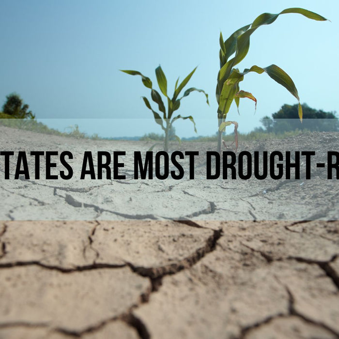 What States Are Most Drought-Resistant? by Weather Scientific