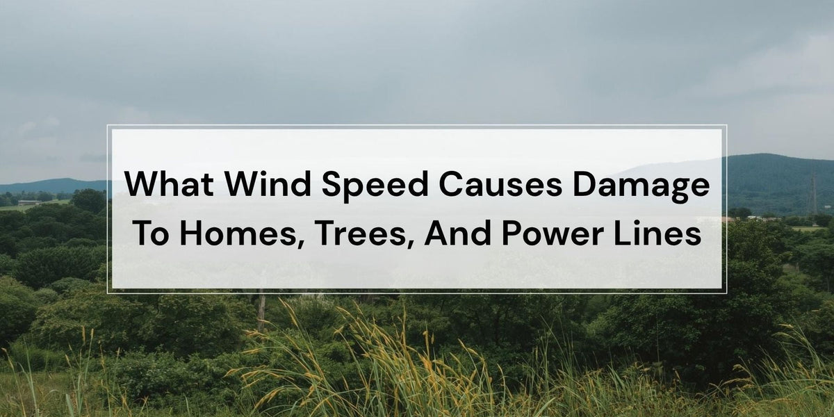 What Wind Speed Causes Damage To Homes, Trees, And Power Lines ...