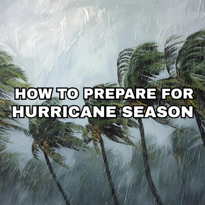 How to Prepare for Hurricane Season by Weather Scientific
