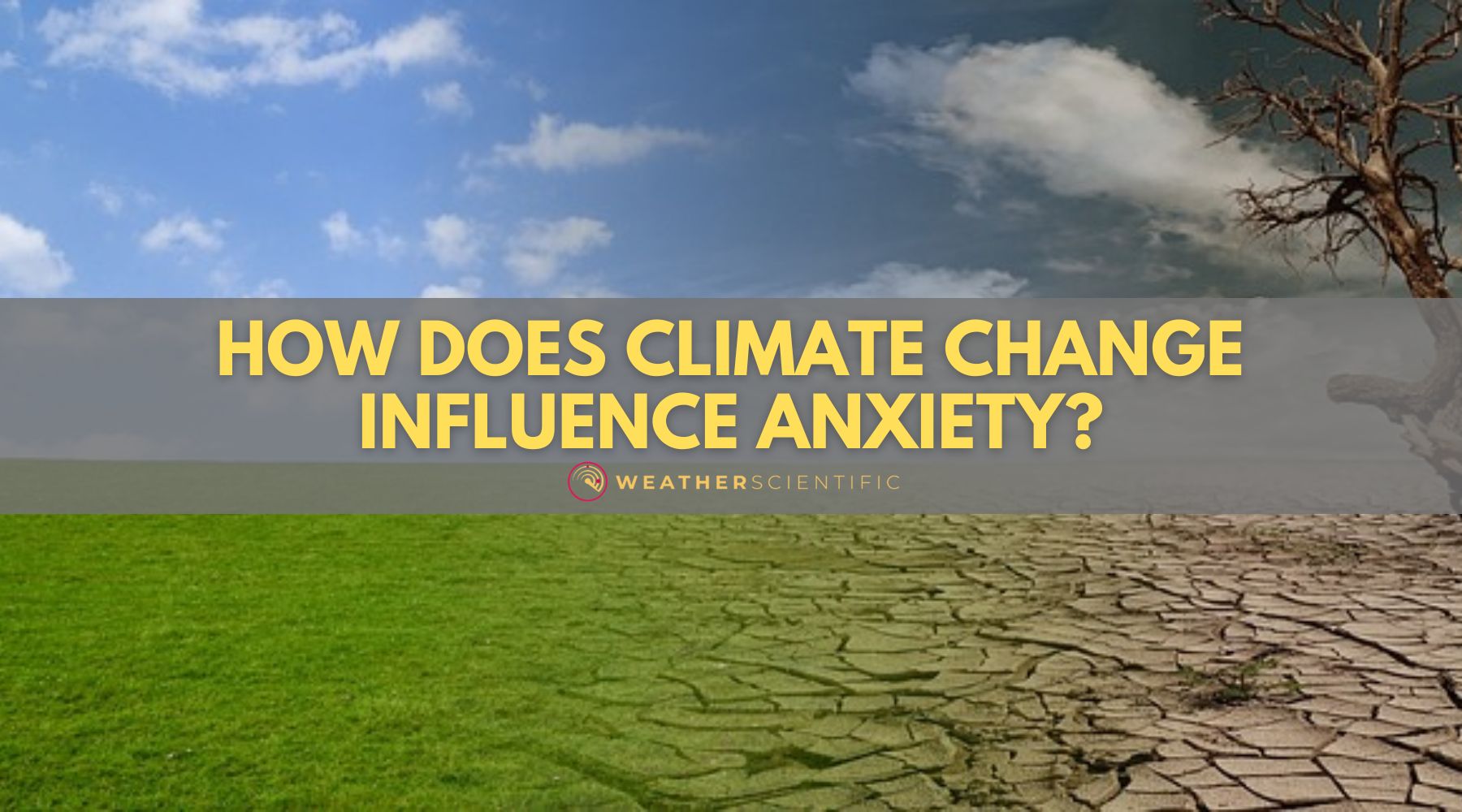 How Does Climate Change Influence Anxiety by Weather Scientific