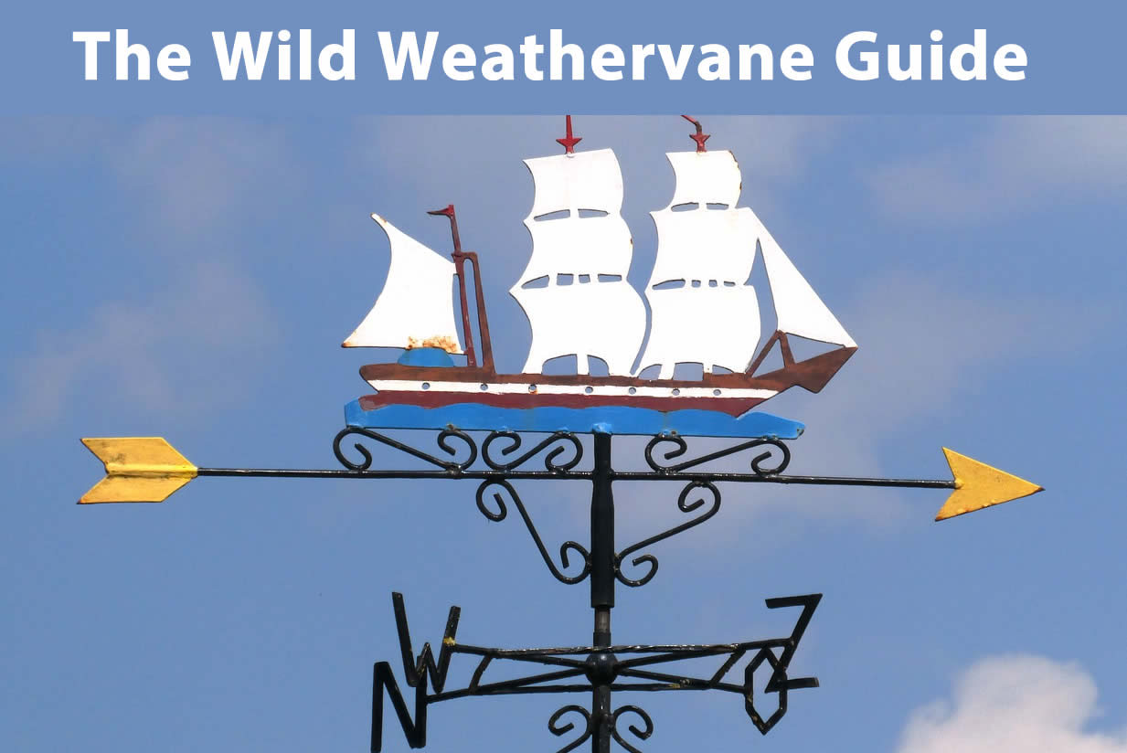 The Wild Weathervane Guide by WeatherScientfic.com
