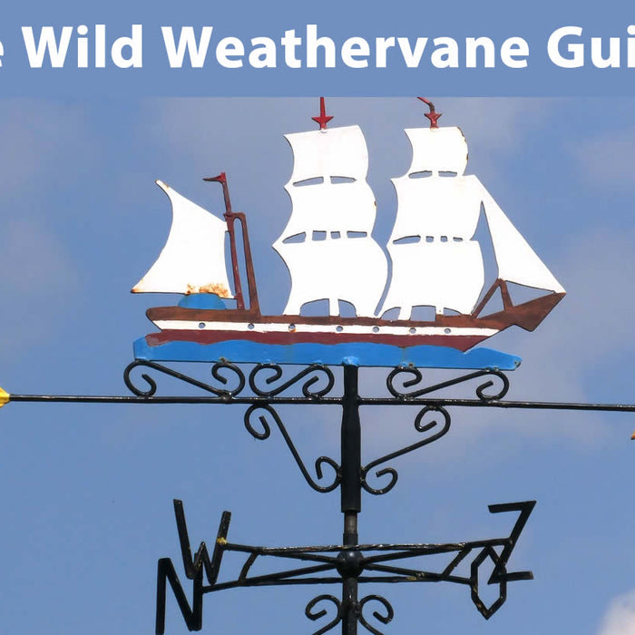 The Wild Weathervane Guide by WeatherScientfic.com