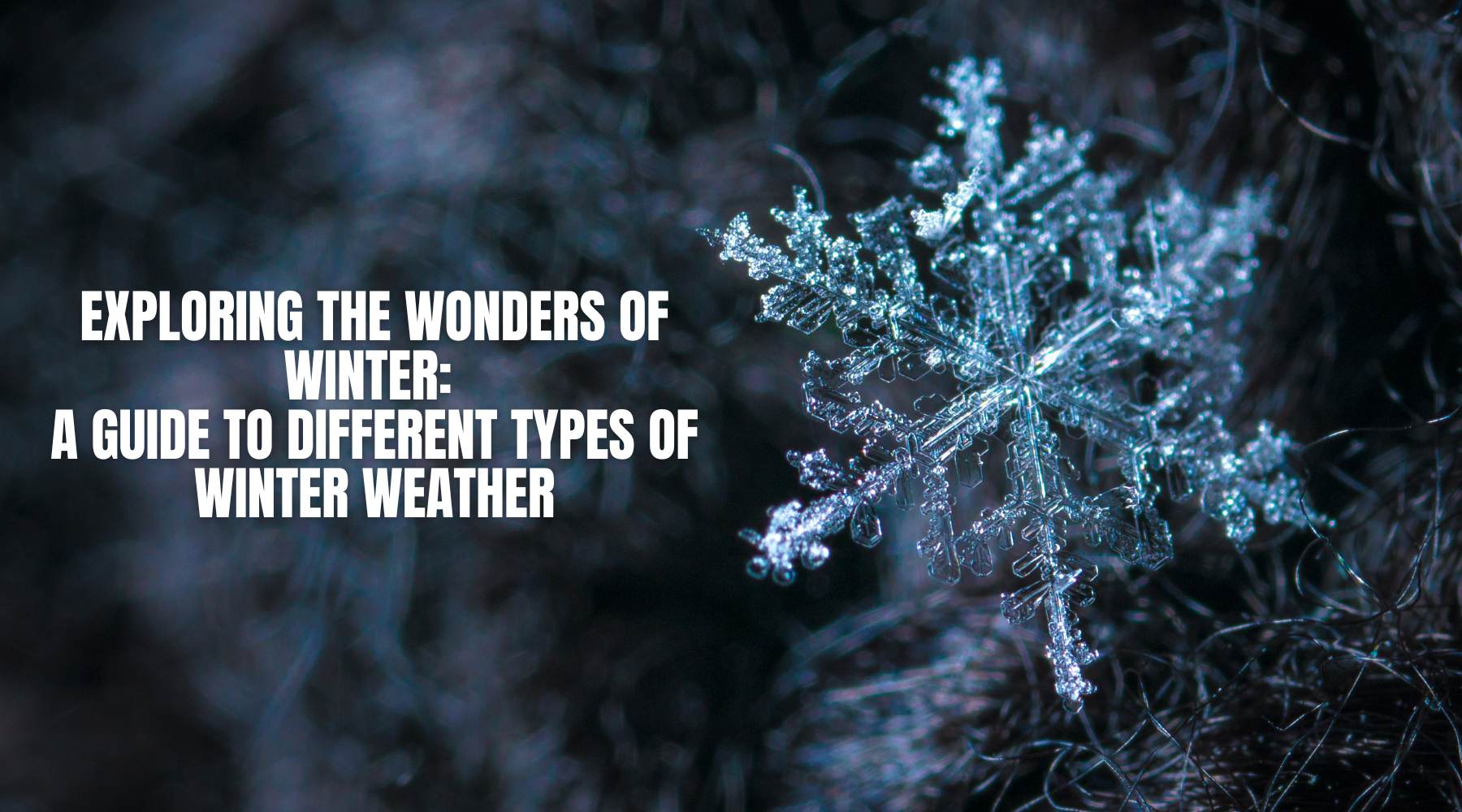 Exploring the Wonders of Winter: A Guide to Different Types of Winter Weather