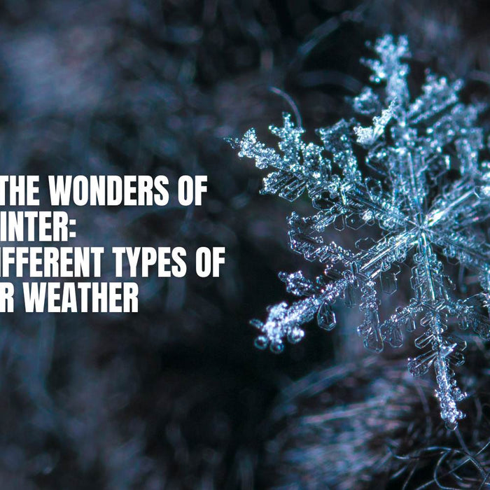 Exploring the Wonders of Winter: A Guide to Different Types of Winter Weather by Weather Scientific