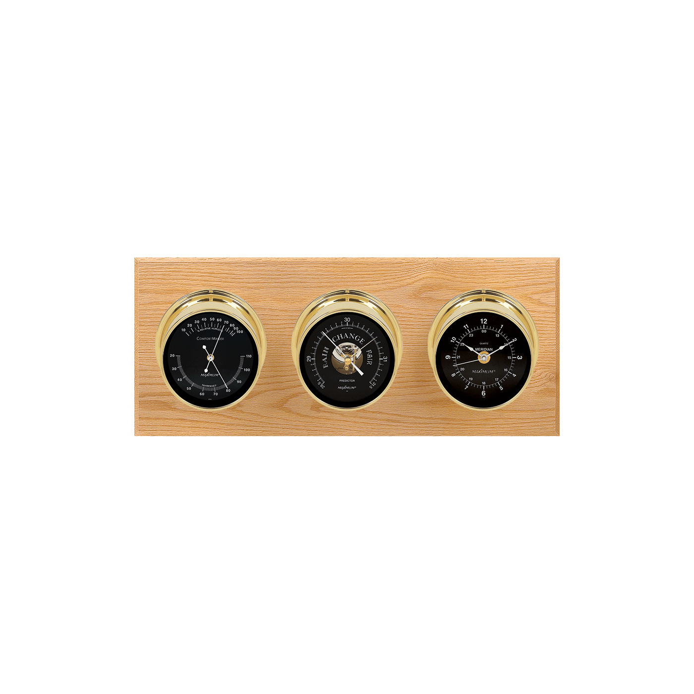 Maximum Inc. Executive Weather Instrument — Weather Scientific