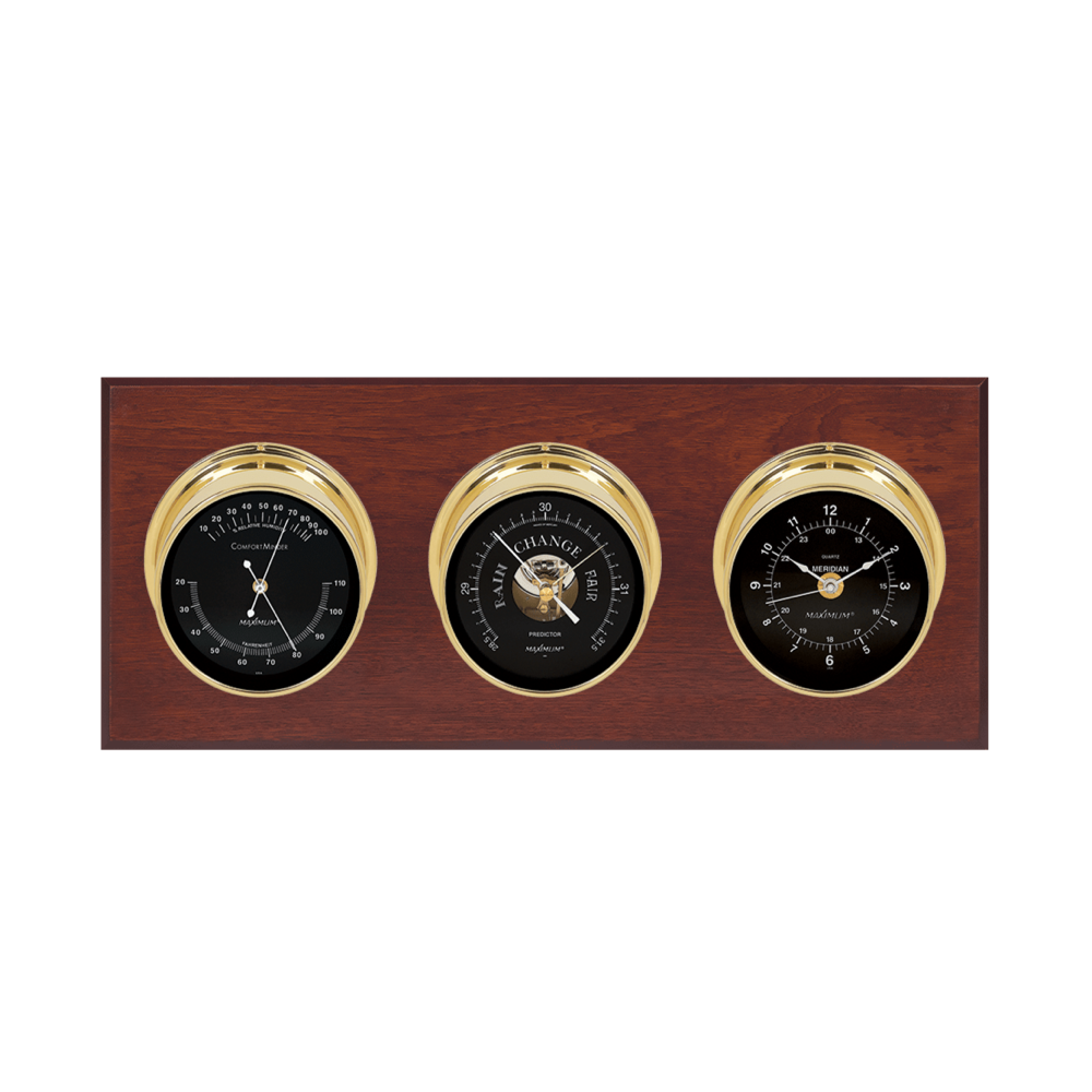 Maximum Inc. Executive Weather Instrument — Weather Scientific